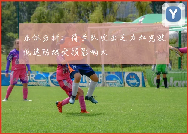 东体分析：荷兰队攻击乏力加克波低迷防线受损影响大